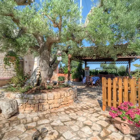 Trullo Paan By Typney